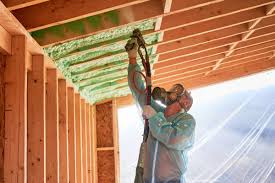 Best Eco-Friendly Insulation Solutions  in Pendleton, IN